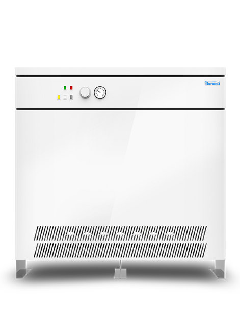 Газовый напольный котел THERMONA THERM 120 E в Нижнем Новгороде