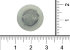 Фильтр водяной Julius арт. 1.01141 (3-50-1570X) в Нижнем Новгороде